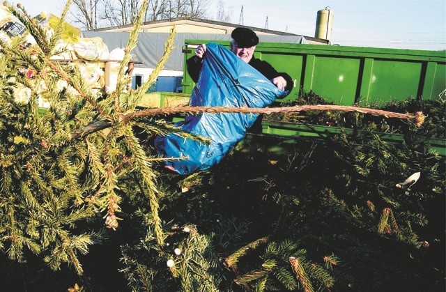 Schaubild Gartenabfälle