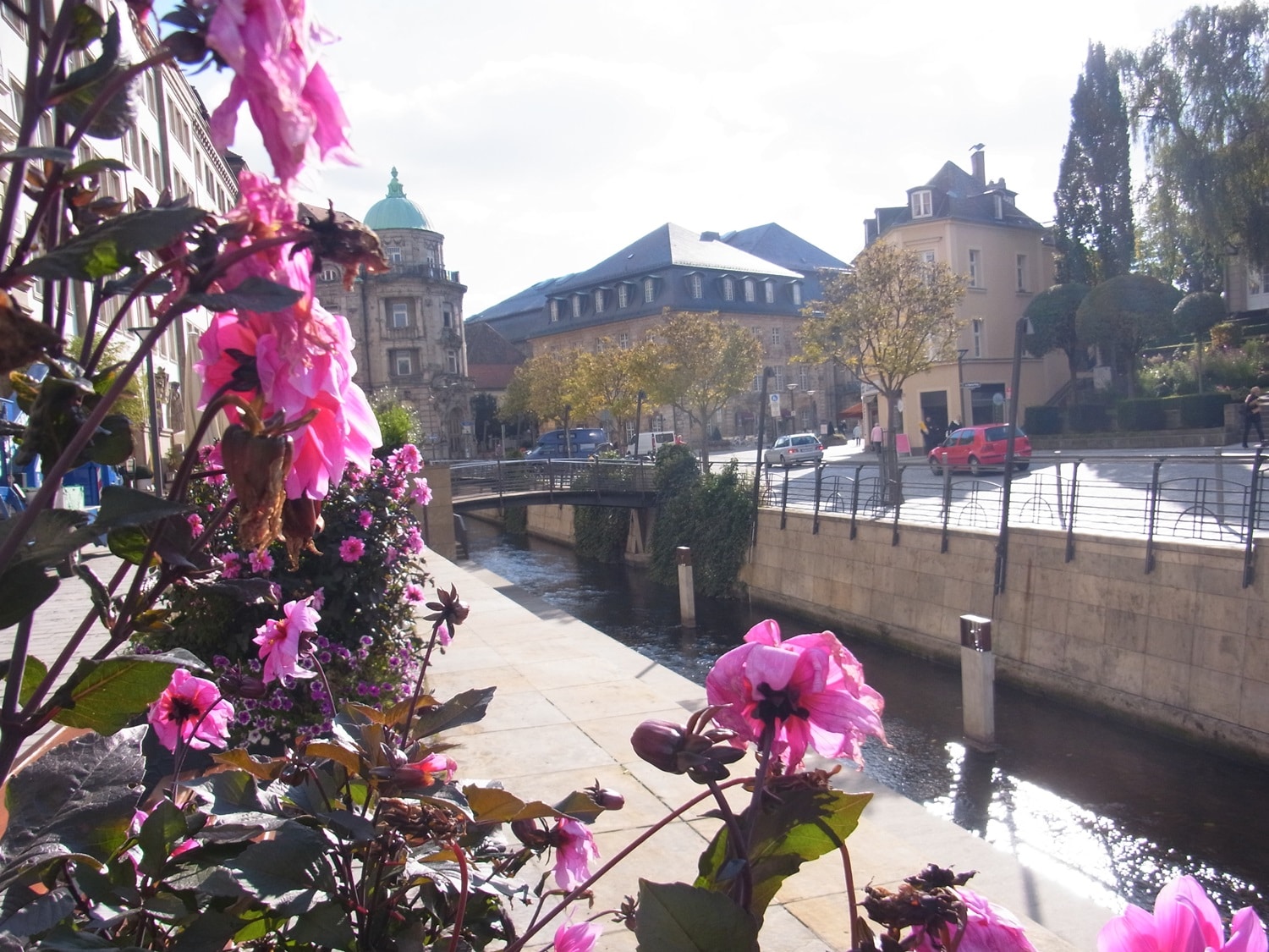 Blick auf den Mühlkanal mit Blumen im Vordergrund.