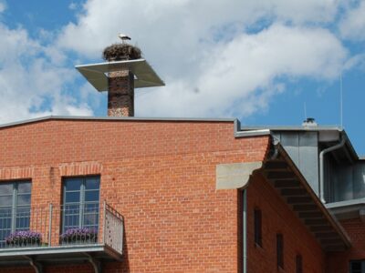 Storchennest auf dem Schornstein