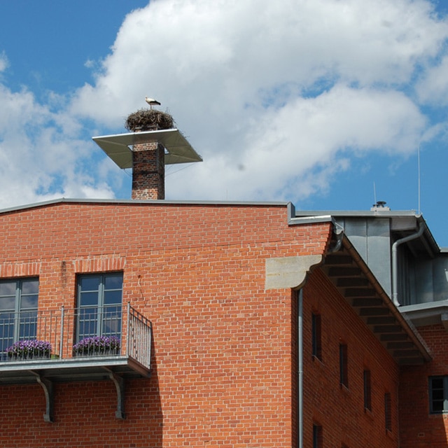 Storchennest auf dem Schornstein