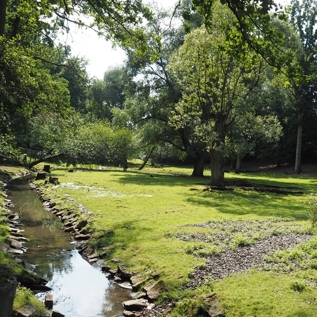 Ansicht vom Röhrensee
