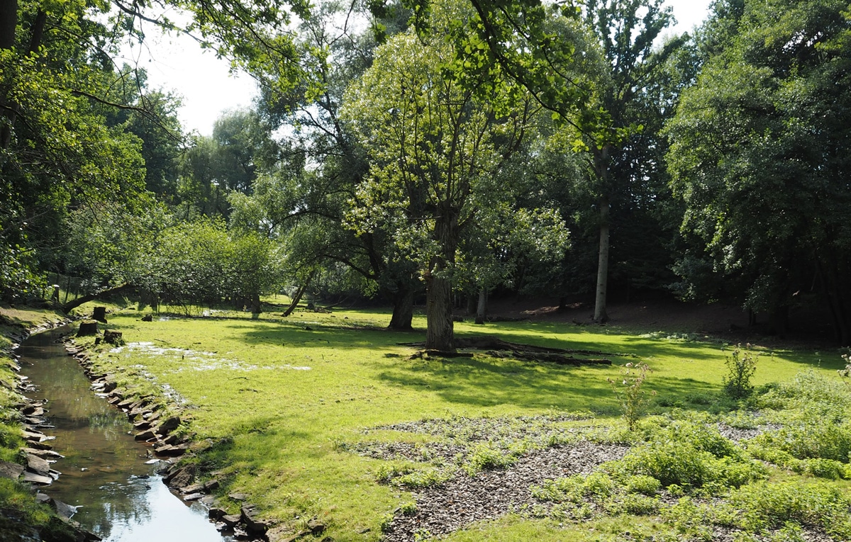 Ansicht vom Röhrensee