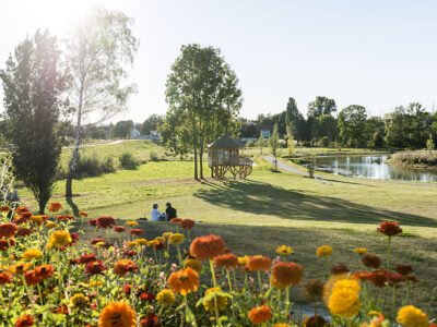 Blumenrabatte und grüne Wiese zum Verweilen am Hammerstätter See