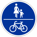 Verkehrszeichen Gemeinsamer Geh- und Radweg