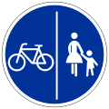 Verkehrszeichen Getrennter Geh- und Radweg