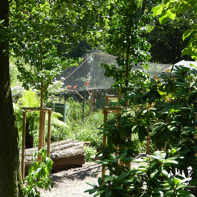 Blick in ein Gehege am Röhrensee