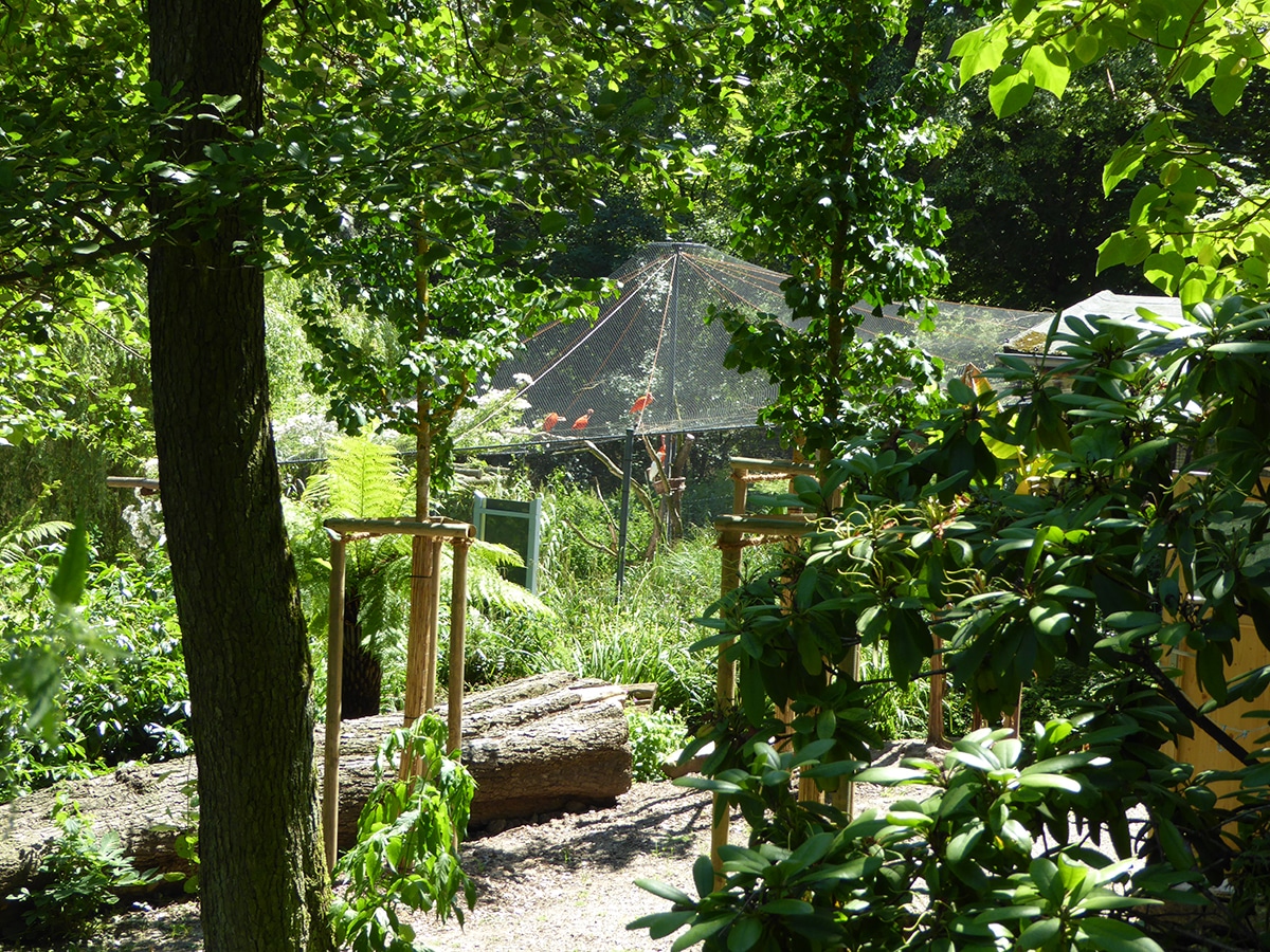 Blick in ein Gehege am Röhrensee