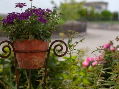 Blumentopf mit Haus dahinter