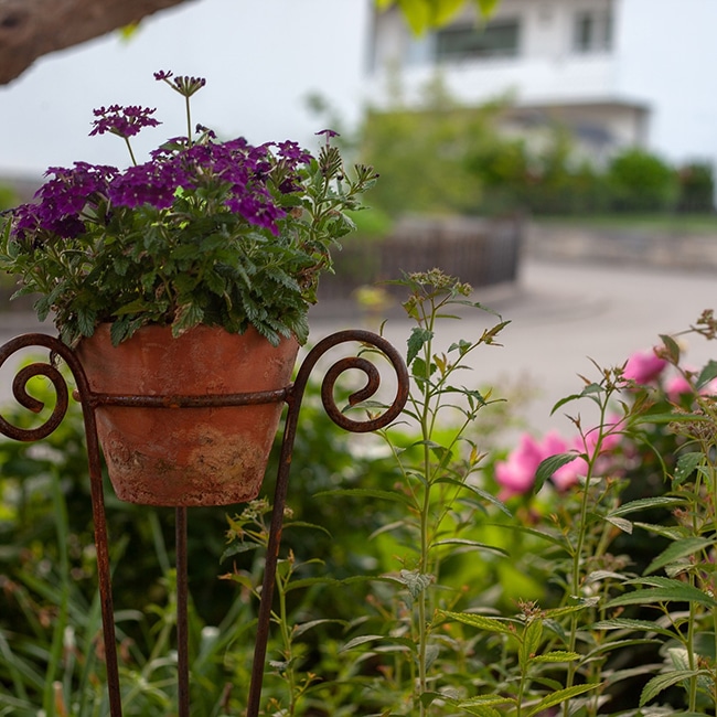 Blumentopf mit Haus dahinter