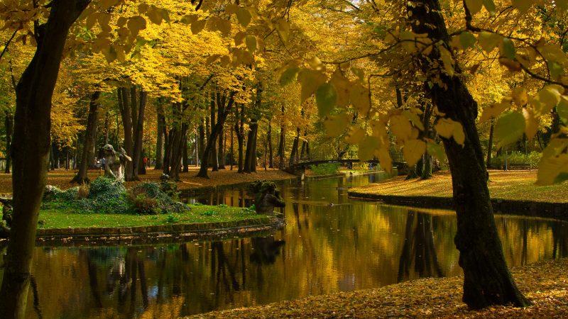 Hofgarten im Herbst