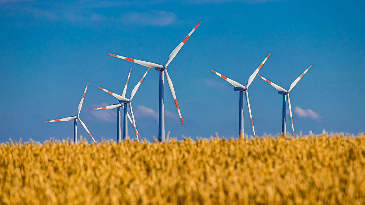 sechs Windräder auf Feld