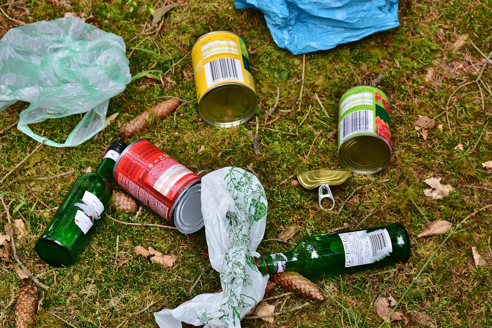 137_Pixabay_garbage-2416624_1920 Vermüllte Wiese