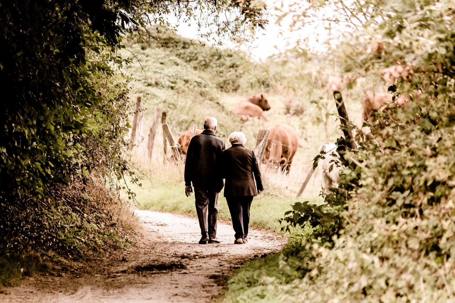 Rentnerpaar auf einem Spazierweg. | Foto: Pixabay Rentnerpaar auf einem Spazierweg. | Foto: Pixabay
