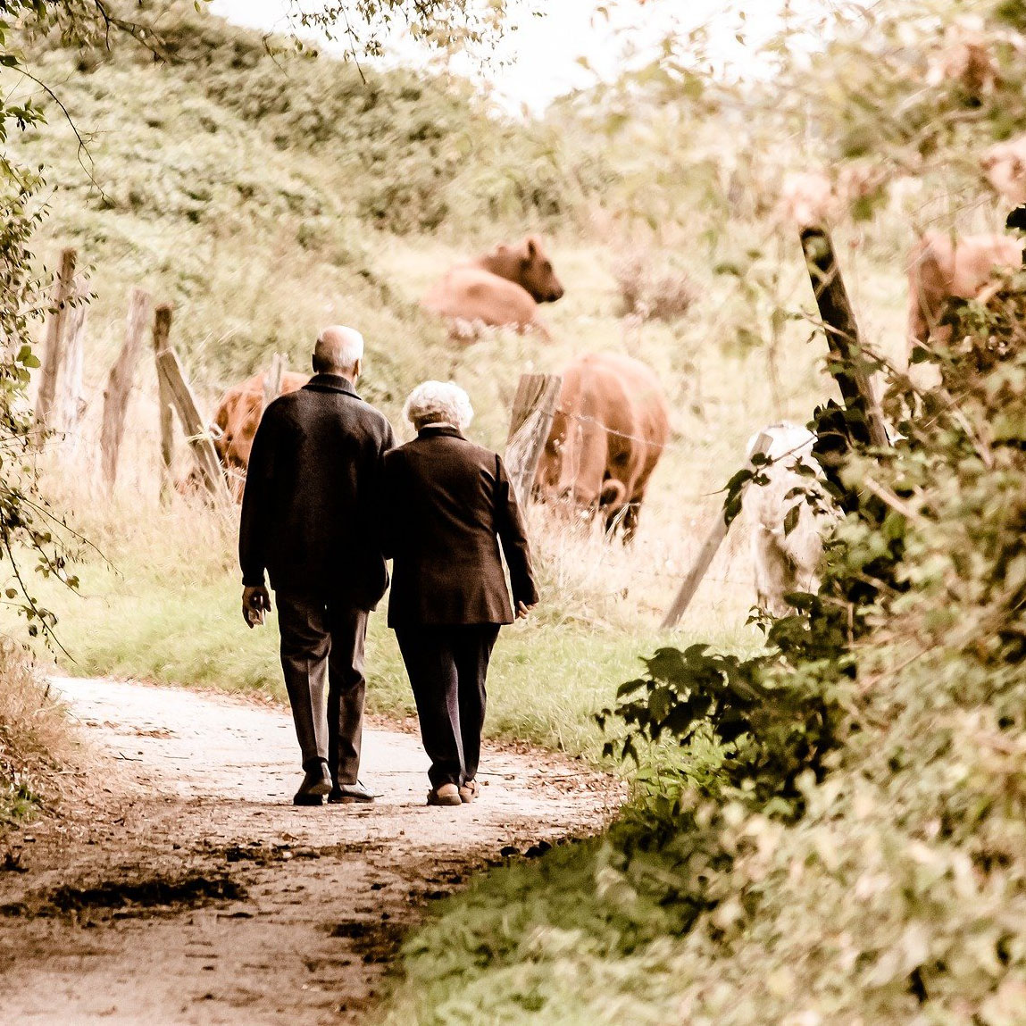 Rentnerpaar auf einem Spazierweg. | Foto: Pixabay