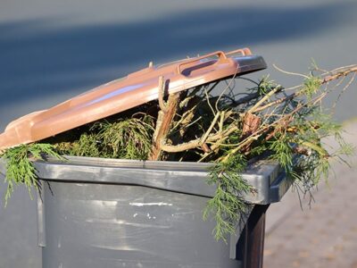 Biotonne, aus der Gartenabfälle ragen