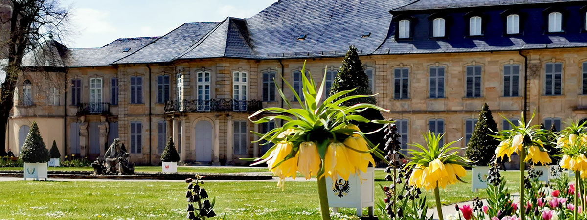 blühende Blume vor dem alten Schloss