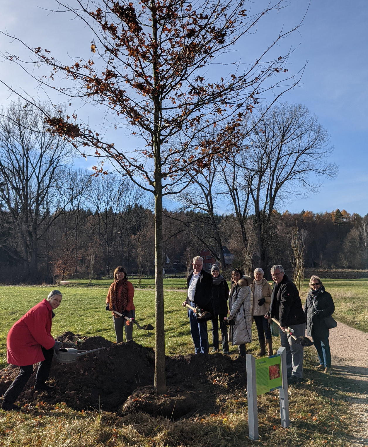 Eine Gruppe von Menschen pflanzt einen großen Baum.