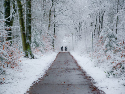 Radweg in verscheitem Winterwald.