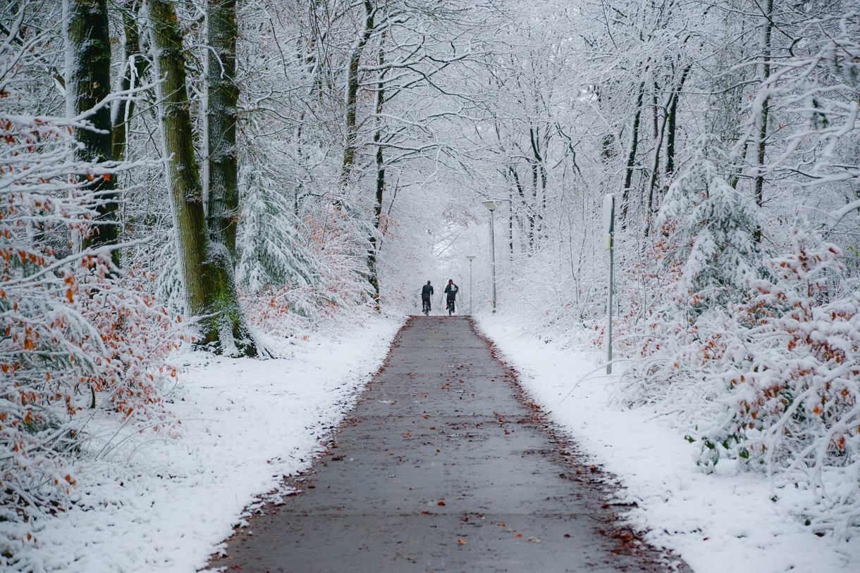 Radweg in verscheitem Winterwald.