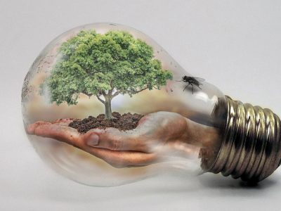 Glühbirne mit Abbildung von einer Hand die einen Baum hält