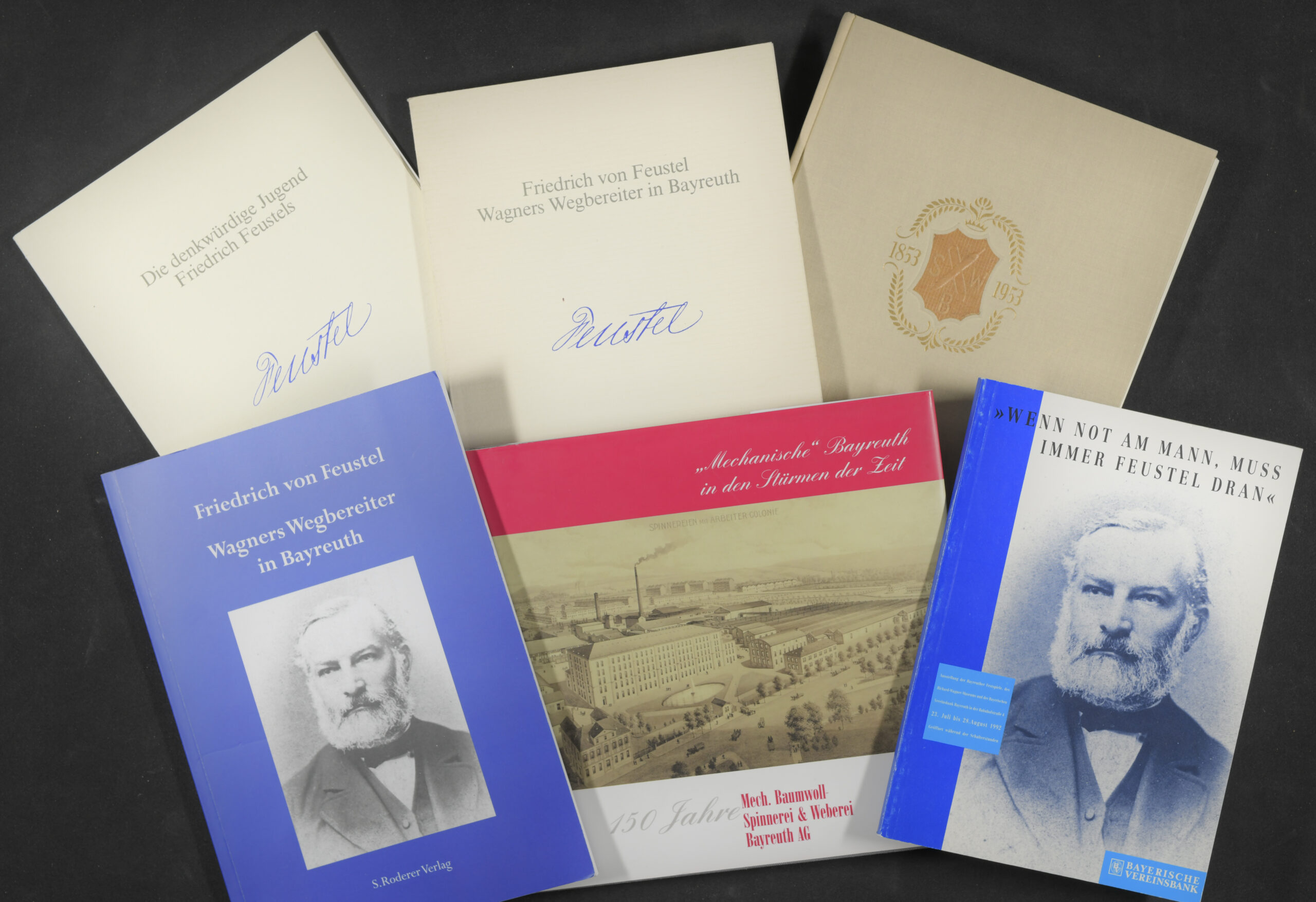 Blick auf Literatur zur Thematik Friedrich Feustel
