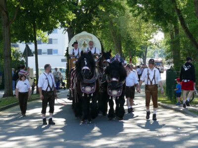 Umzugswagen mit Pferden. | Foto: Olli Dannhäuser