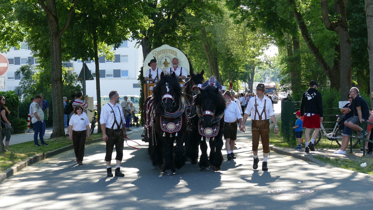 Umzugswagen mit Pferden. | Foto: Olli Dannhäuser