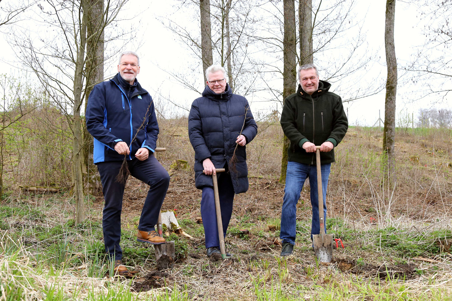 Drei Männer stehen mit Spaten auf einem Waldgrundstück.