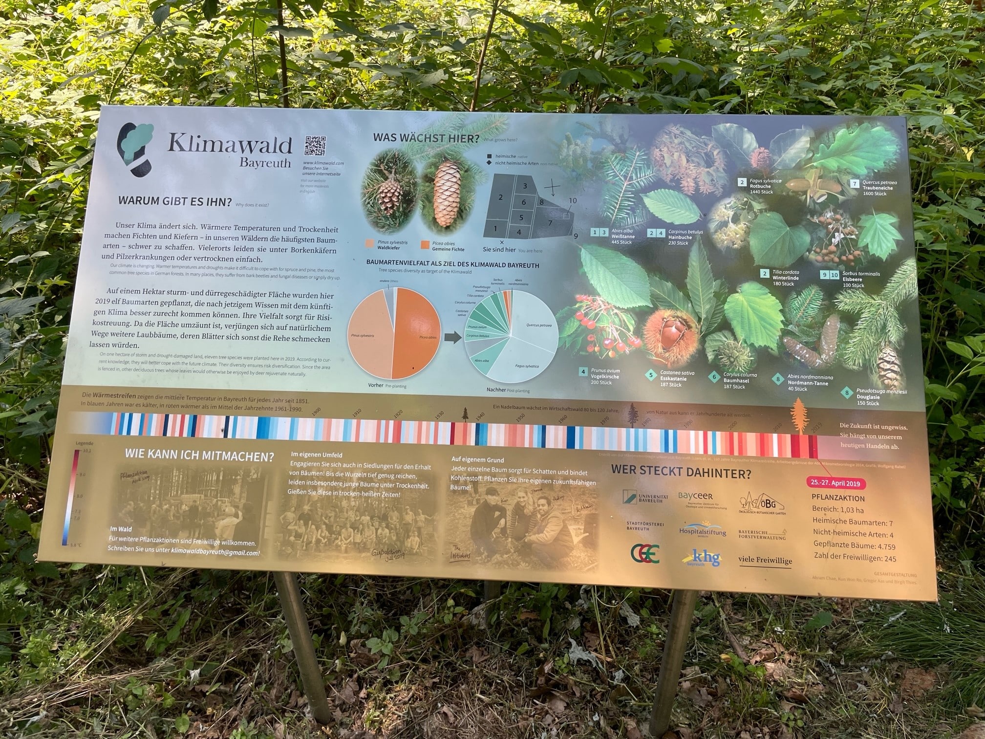 415 Stadtrat besucht Klimawald-1 Informationstafel