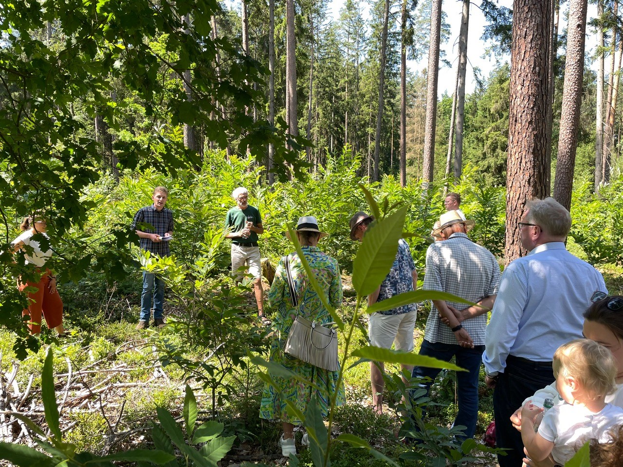 415 Stadtrat besucht Klimawald Menschen stehen auf einer Lichtung im Wald. | Foto: M. Hohl
