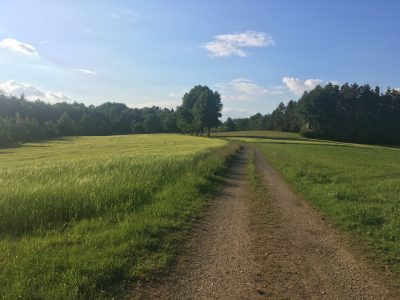 Ein schöner Feldweg im Landkreis Bayreuth führt auf einen Wald zu.
