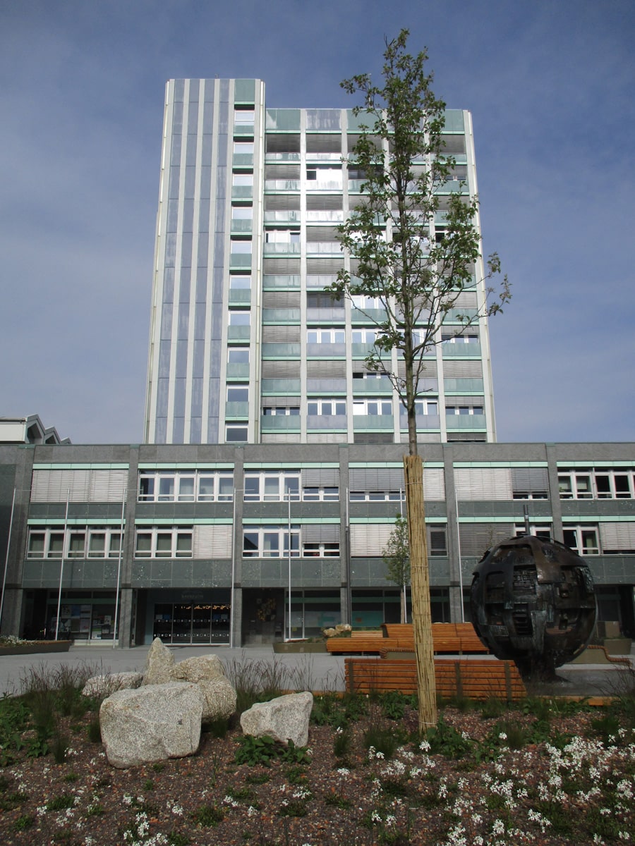 Grüninsel mit neu gepflanztem 'Baum, im Hintergrund Eingangsansicht des Rathauses