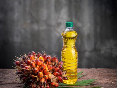Eine Flasche Palmöl mit Ölfrüchten