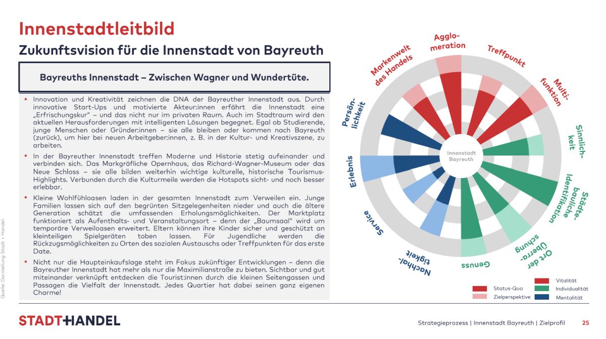 Auszug aus dem Zielprofil; Grafik (Zielscheibe mit 12 Zielstrahlen) und Text zur Verdeutlichung der Zukunftsvision