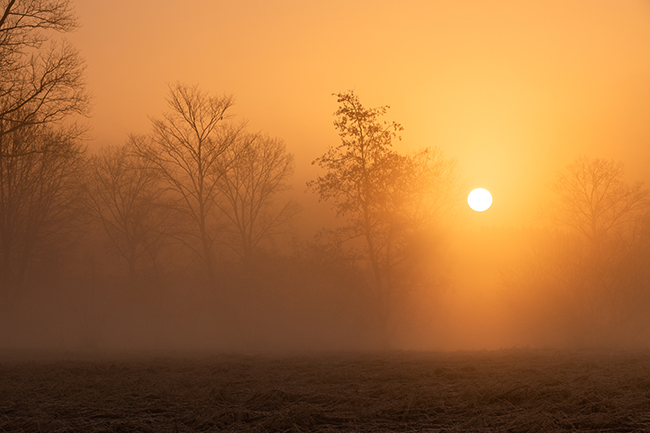 Durch Saharastaub gelb gefärbter Sonnenaufgang