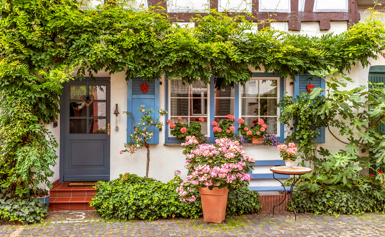 Hausfassade mit Rankpflanze | © AdobeStock