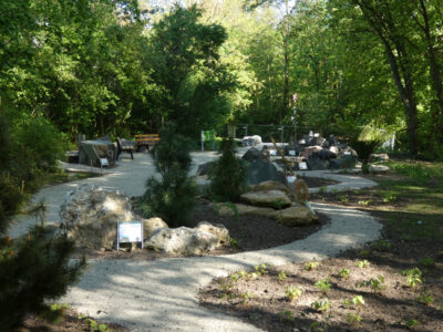 Ein Waldweg schlängelt sich durch einen Steingarten