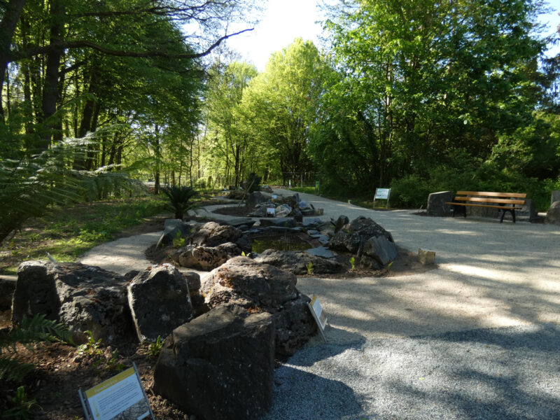 Ein Waldweg schlängelt sich durch einen Steingarten