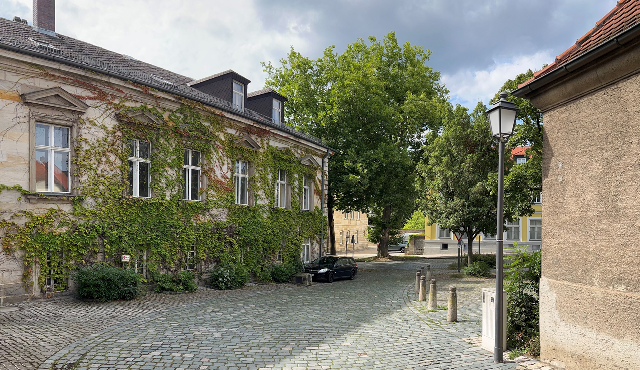 Blich in einen mit Bäumen begrünten Straßenzug. | Foto: Stadt Bayreuth