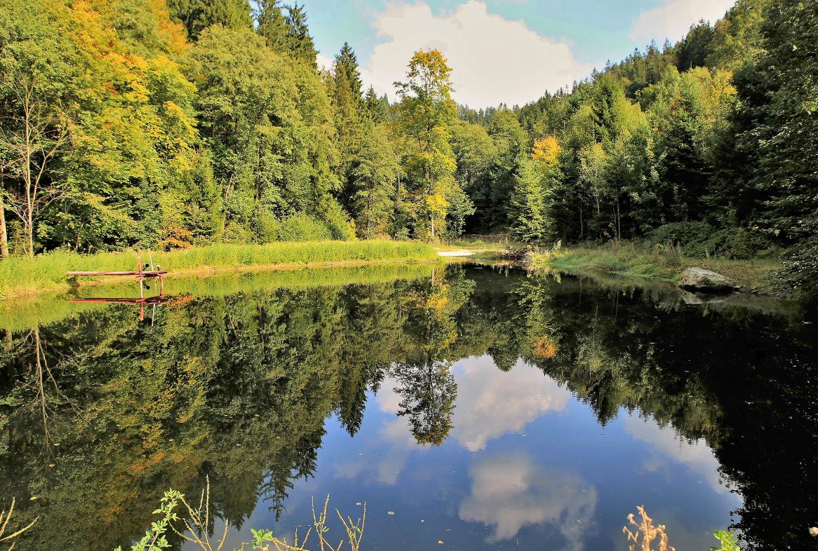 Wurzbachweiher | Foto: Eva Rundholz