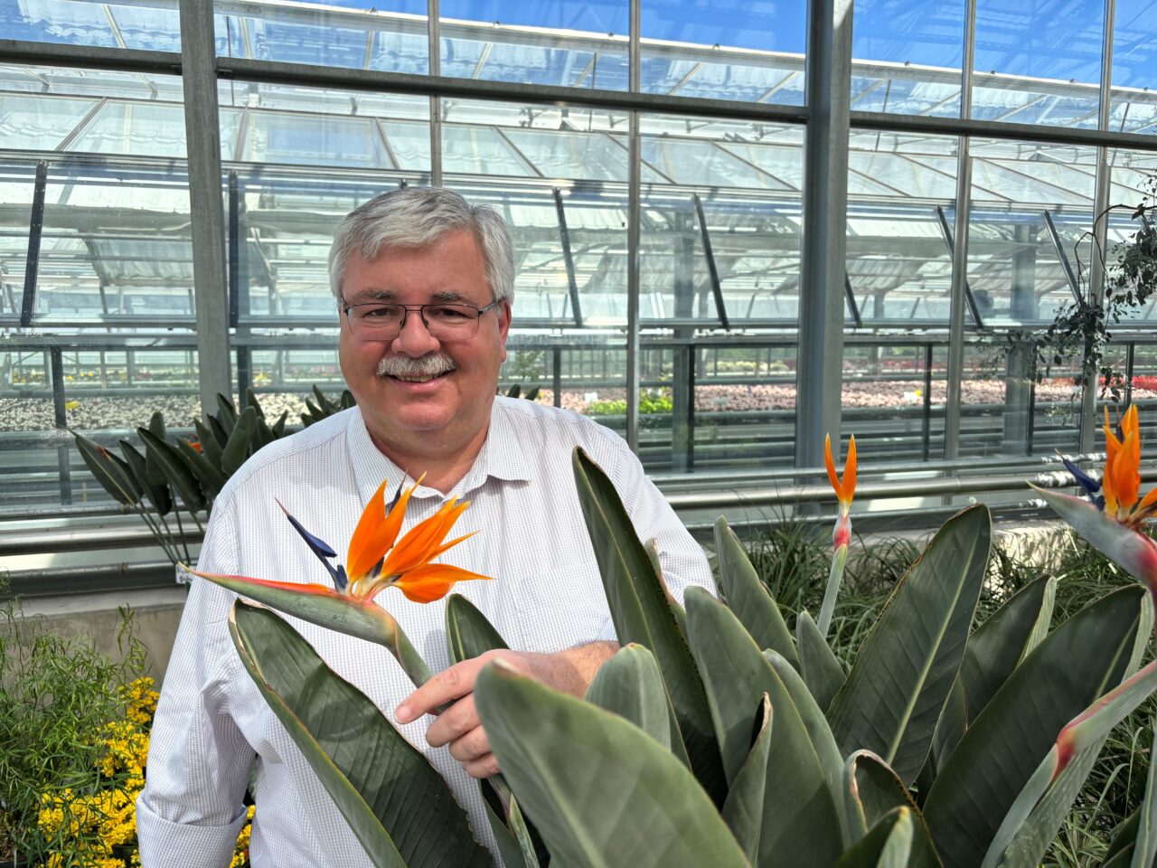 Stadtgartenamtsleiter Robert Pfeifer stellt Blumen vor, die Gartenfreunde zum Staunen bringen. Foto: Stadt Bayreuth