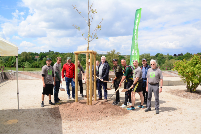 Eine Gruppe Männer hat einen Baum in der Wilhelminenaue gepflanzt. Foto: Arnd Sesselmann