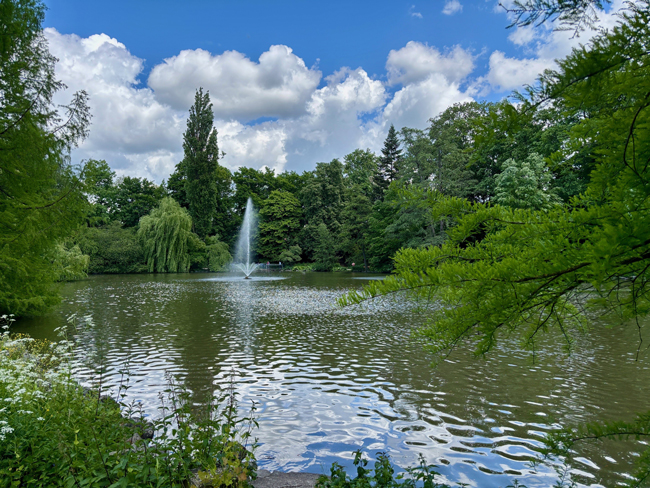 Der Röhrensee