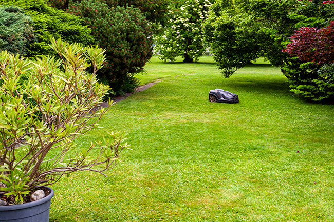 Mähroboter steht auf einem Rasen in einem Garten