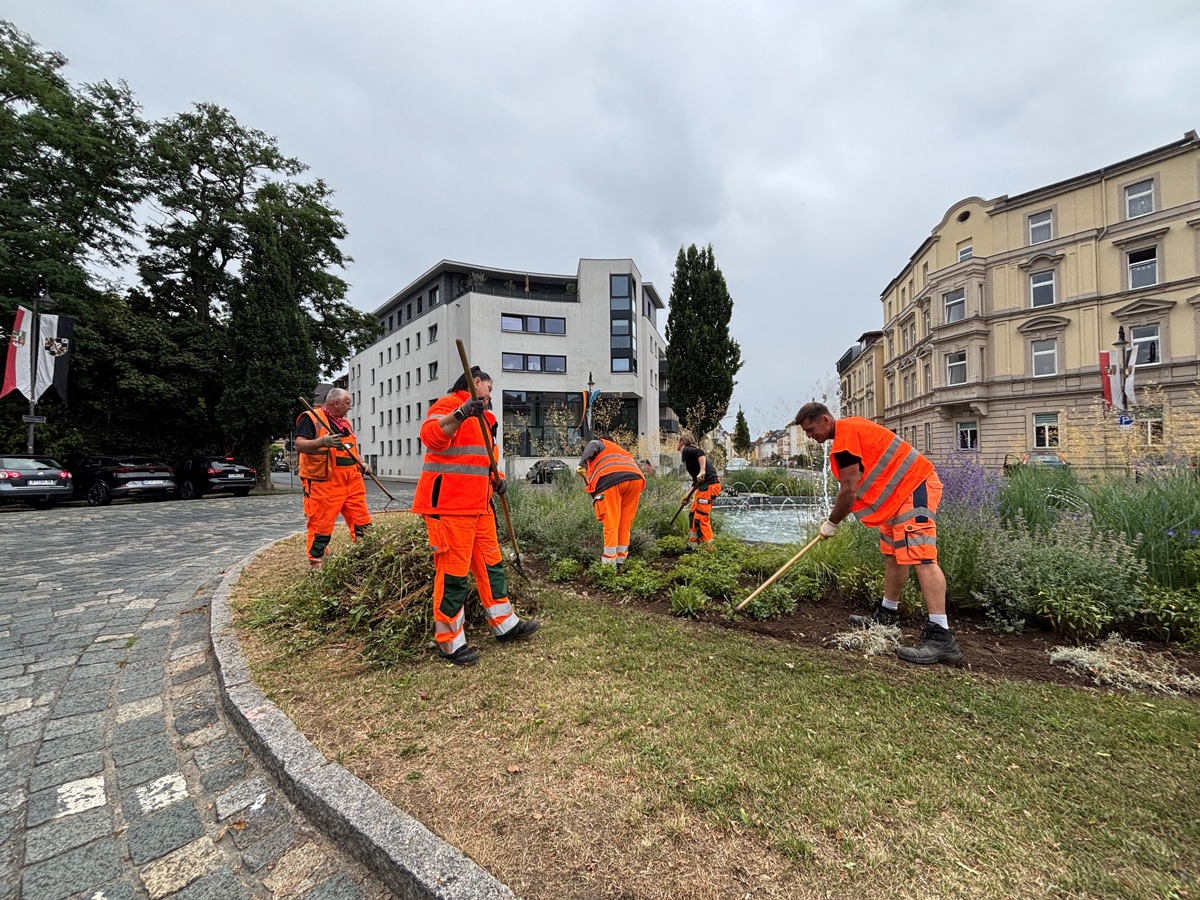 Die städtischen Grünflächen werden derzeit von den Gärtnerinnen und Gärtnern des Stadtgartenamtes für die Festspiele herausgeputzt. Fotos: Stadt Bayreuth