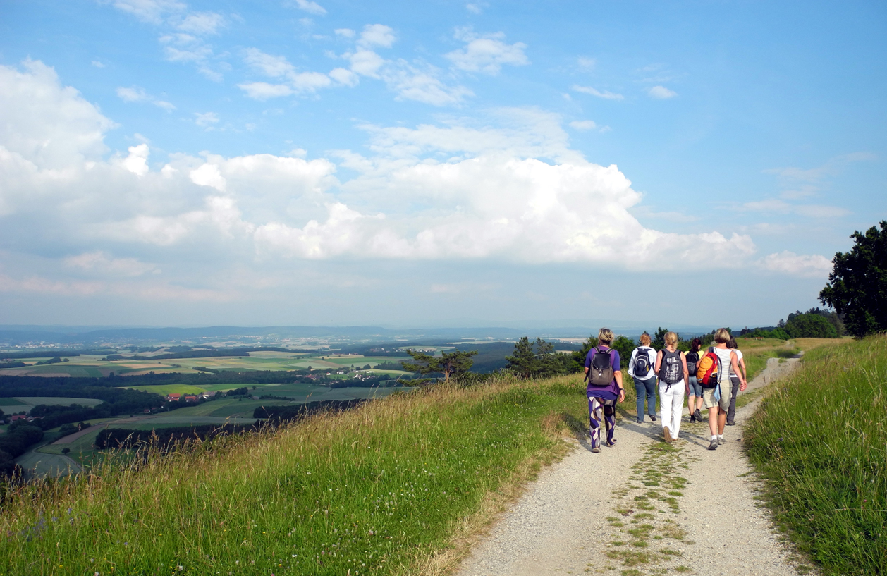 Eine Gruppe von Wanderern auf offenem Feld. | Foto: Stadt Bayreuth
