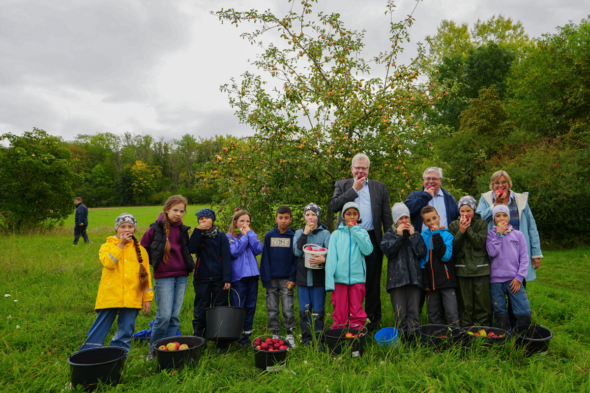Apfelernte auf der Streuobstwiese der Stadt Bayreuth am Oschenberg. Zahlreiche Grundschulkinder aus St. Georgen hatten bei der Aktion ihren Spaß und ließen sich auch den einen oder anderen Apfel schmecken. | Foto: Stadt Bayreuth