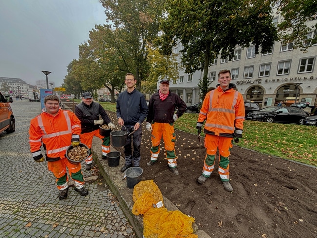 Harald Gräbner (Mitte) und seine Kollegen vom Stadtgartenamt stecken bereits im Herbst Blumenzwiebeln, sodass sich die Menschen in Bayreuth im Frühjahr über viele bunt blühende Beete freuen dürfen. Foto: Stadt Bayreuth