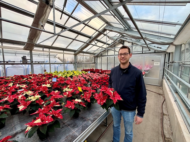 Harald Gräbner vom Stadtgartenamt weiß viel Wissenswertes über den Weihnachtsstern zu berichten. | Foto: Stadt Bayreuth