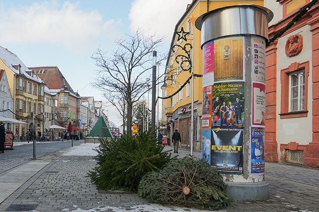 Zwei Christbäume liegen auf dem Boden in der Maxstraße.